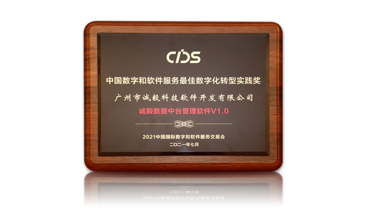 中國數(shù)字和軟件服務最佳數(shù)字化轉型實踐獎